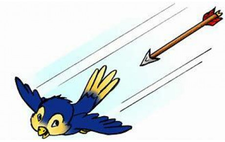 Abat l'oiseau lundi 18 Avril 2022